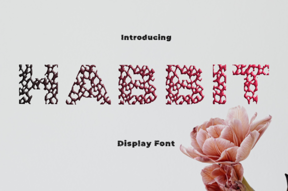Habbit Font: Modern Elegance for Designers
